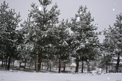 Bahar yerine kar geri geldi