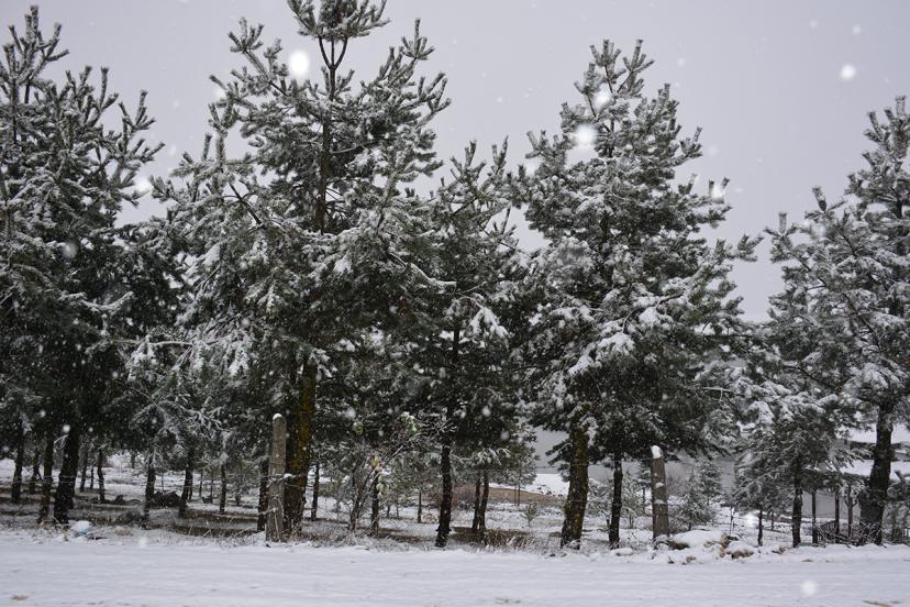 Bahar yerine kar geri geldi
