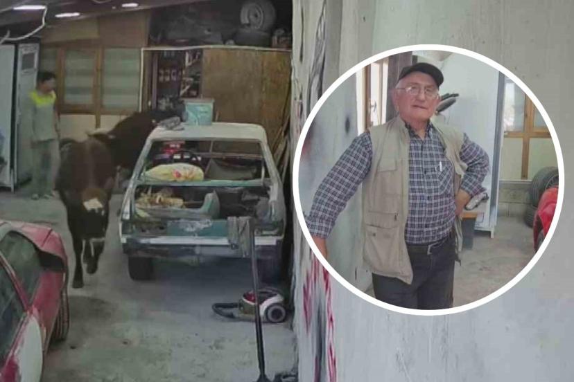 Danalar oto tamirciyi bastı, görgü tanığı: "Nazikçe geldiler, nazikçe gittiler"
