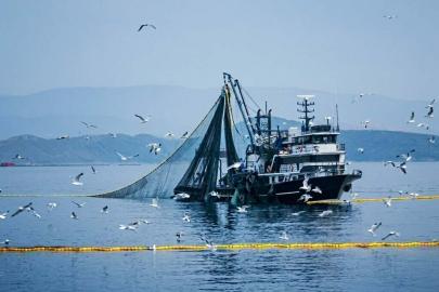 Denizlerde av yasağı 15 Nisan'da başlıyor