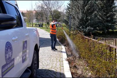 Elazığ’da haşereyle mücadele sürüyor