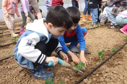İzmitli çocuklar ilk fidelerini çocuk serasında ekti