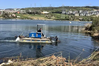 Kocaeli Gölkaypark’ta çöp ve bitkisel atık temizliği