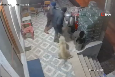 Manisa'da korkunç olay: Köpekler parmağını kopardı!
