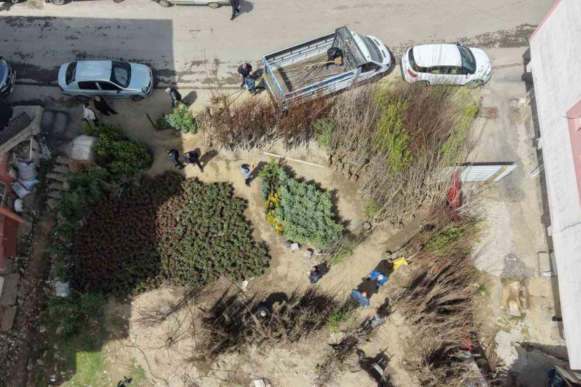 Muş’ta meyve fidanları satışa çıkarıldı