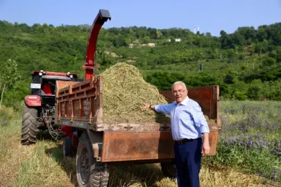 Ordu’da atıl arazi tarıma kazandırıldı