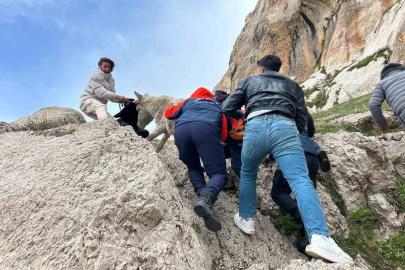 Van’da kayalıklarda mahsur kalan eşek kurtarıldı