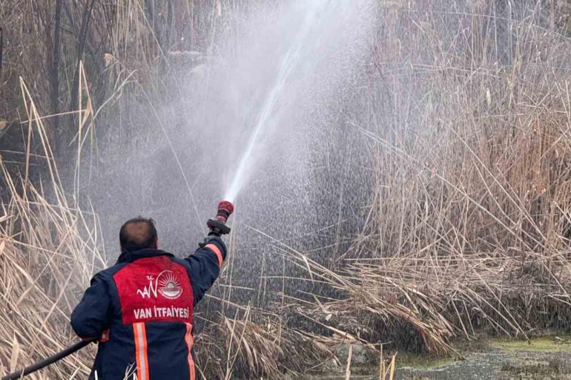 Van’da sazlık alanda yangın