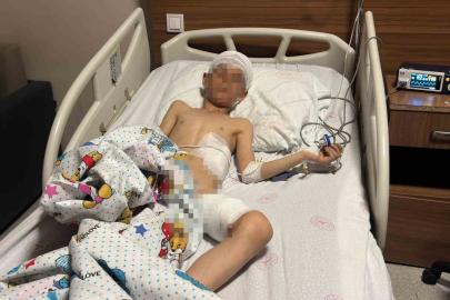 Van’daki köpek dehşetinde kan donduran detaylar