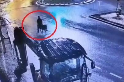 Altınları çalıp eşekle kaçmıştı. 9 yıl 7 ay hapis cezası