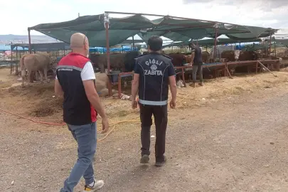 Çiğli’de kurban denetimleri aralıksız sürüyor
