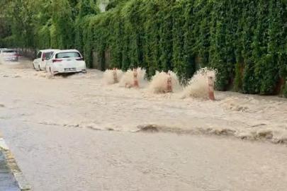 Elazığ’da sağanak yağış etkili oldu