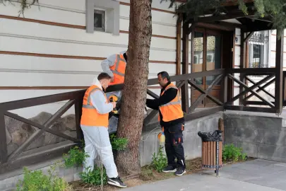 Kayseri Talas'tan çevre dostu ilaçlama atağı