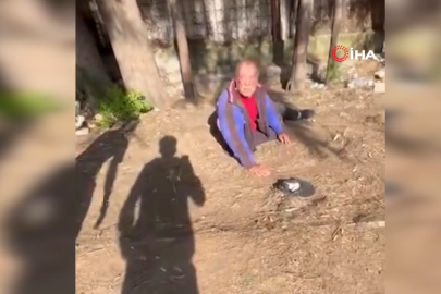 Sokakta uyuyan yaşlı adamı uyandırıp yüzüne tekme attılar