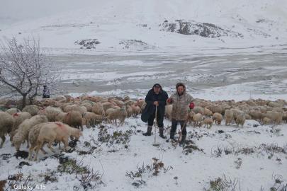 Tipi ve heyelan nedeniyle 2 çoban ve 650 küçükbaş yaylada mahsur kaldı