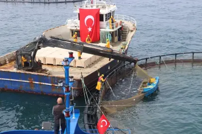 Avcılıkta artış, iç sularda düşüş!