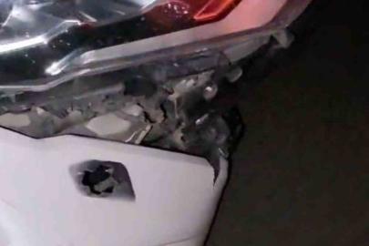 Elazığ’da otomobil domuz sürüsüne çarptı