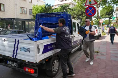 İstanbul Maltepe'de zabıta ekipleri işgallere karşı sahada