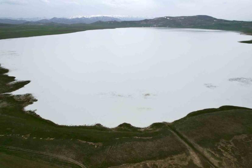 Van’ın kuş cenneti Akgöl misafirlerini bekliyor