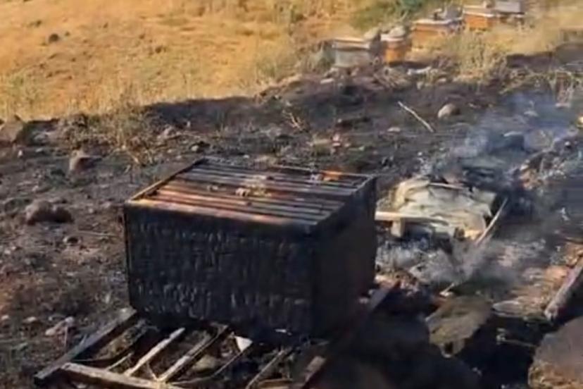 Bingöl’de 25 arı kovanı küle döndü