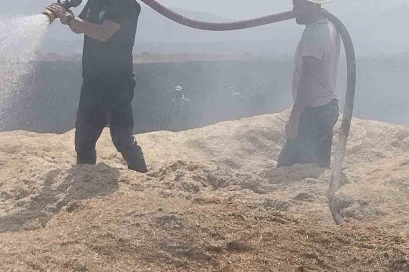 Bingöl’de arazi yangını: 2 bin dönüm arazi zarar gördü