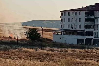 Elazığ’da buğday tarlasında yangın