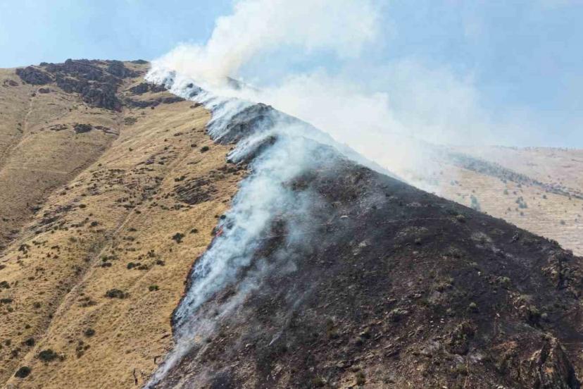 Elazığ’da dağlık alanda yangına sebep olan şüpheli tutuklandı