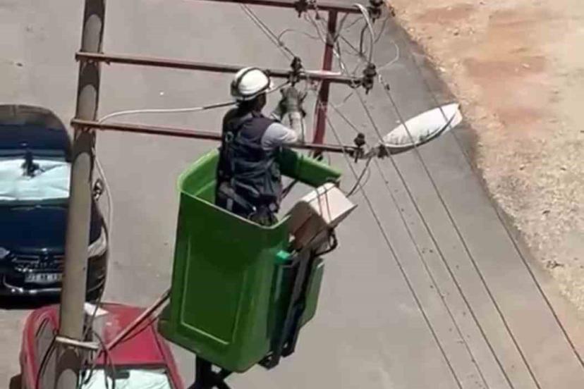 Elektrik tellerine takılan kuş kurtarıldı