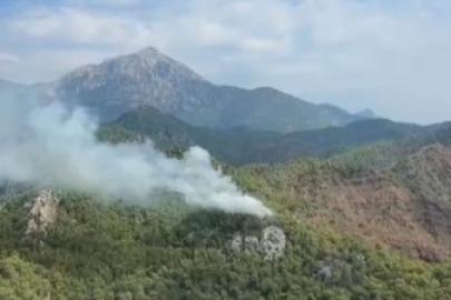 Antalya ve Balıkesir'de orman yangını