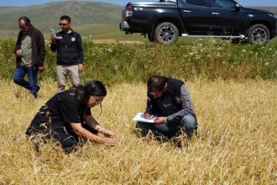 Aşırı yağış ve dolu nedeniyle zarar gören arazilerde hasar tespiti yapıldı