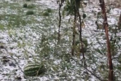 Elazığ’da fırtına ve dolu, tarım arazilerine zarar verdi