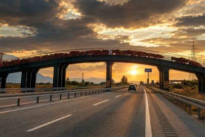 Erzincan’da hayvan sürülerine özel üst geçit