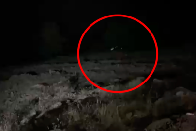 Hafif ticari araç uçuruma yuvarlandı. 4 kişi öldü, 5 yaralı var