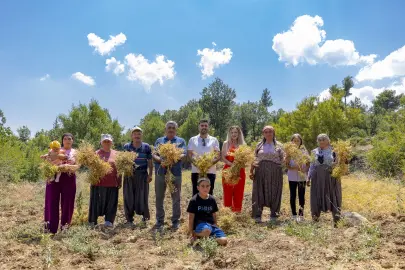 Mersin’de yerel tohumlar geleceğe taşınıyor