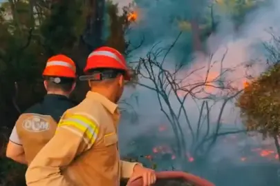 Orman yangınlarında 46 şüpheli tespit edildi! 12 kişi tutuklandı