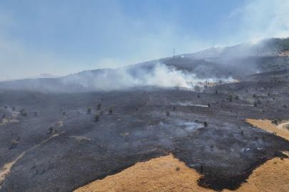 Tunceli’deki orman yangını söndürüldü