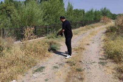 Yoldaki kaplumbağayı duyarlı vatandaş kurtardı