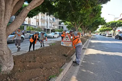 Antalya'da kurakçıl peyzajla yeşil dokunuş