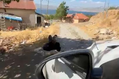 Elazığ’da yaşlı bir adam, eşi tarafından zincirle ağaca bağlanmış şekilde görüntülendi