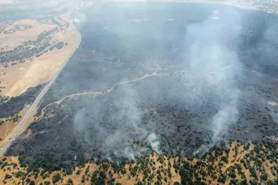 Elazığ'daki orman yangını kontrol altında