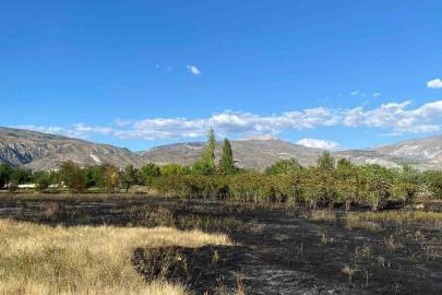 Erzincan’da anız yangını büyümeden söndürüldü