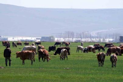Erzurum’da kırsal kalkınmaya dev destek: 329 Projeye 171 Milyon TL hibe