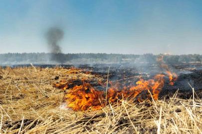 Fırat EDAŞ’tan anız yakma uyarısı