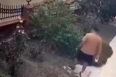 İzmir'de yavrulu kediye tekme atan saldırgan yakalandı