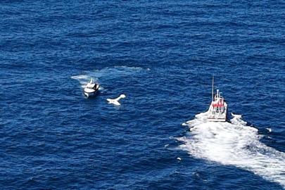 Karadeniz'de hareketli anlar. Gürcistan'dan kalkan uçak Rize'de denize acil iniş yaptı