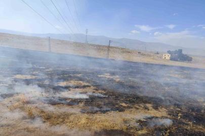 Muş’ta iki bölgede çıkan anız yangınları söndürüldü