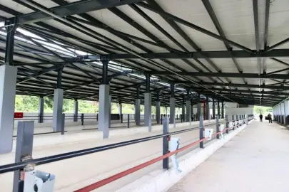 Ordu Fatsa’da Damızlık Düve Yetiştirme Merkezi tamamlandı