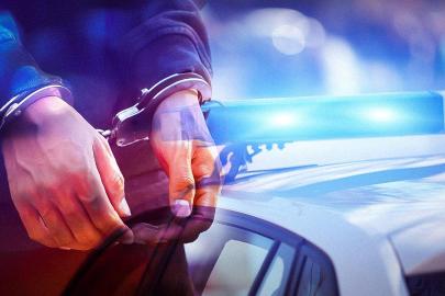 Daltonlar suç örgütüne operasyon: 26 gözaltı