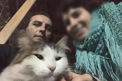Kedileri beslemeyince acı gerçek ortaya çıktı